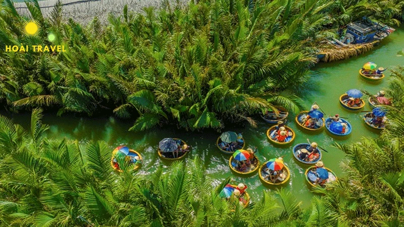 Rừng dừa nhìn từ trên cao