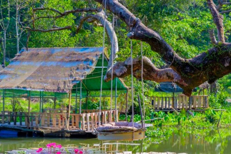 Khu du lịch sinh thái tại bán đảo Sơn Trà - Nhất Lâm Thuỷ Trang Trà